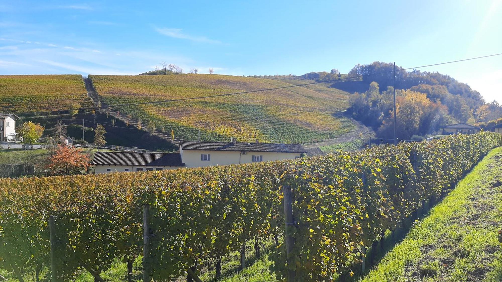 Ciabot Delle Aie - Barolo Διαμέρισμα Εξωτερικό φωτογραφία
